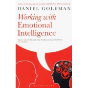 Daniel Goleman: Working with Emotional Intelligence