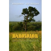 Владимир Ноговицын: Мимоходом