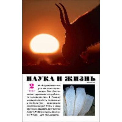 Наука и жизнь. 2023. № 2 Наука и жизнь. 2023. № 2