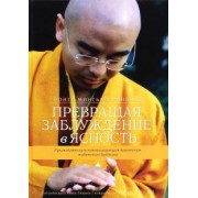 Ринпоче, Творков: Превращая заблуждение в ясность. Руководство по основополагающим практикам тибетского буддизма