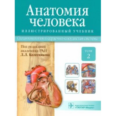 Колесников, Ничипорук, Гайворонский: Анатомия человека. Учебник. В 3-х томах. Том 2. Спланхнология и сердечно-сосудистая система Колесников, Ничипорук, Гайворонский: Анатомия человека. Учебник. В 3-х томах. Том 2. Спланхнология и сердечно-сосудистая система