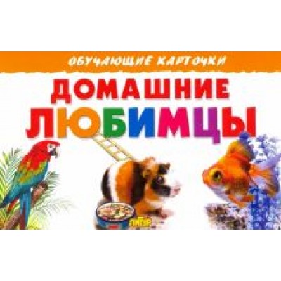 Карточки. Домашние любимцы Карточки. Домашние любимцы