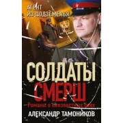 Александр Тамоников: Агент из подземелья