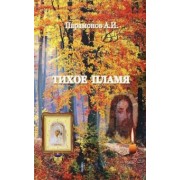 Анатолий Парамонов: Тихое пламя