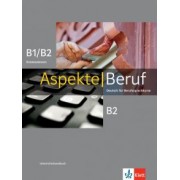 Stephanie Mock-Haugwitz: Aspekte Beruf B1/B2 Brückenelement und B2. Deutsch für Berufssprachkurse. Unterrichtshandbuch