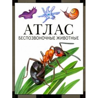 Дольник, Козлов: Атлас. Беспозвоночные животные Дольник, Козлов: Атлас. Беспозвоночные животные