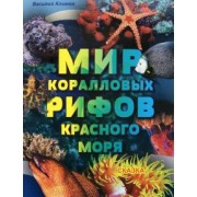 Василий Климов: Мир коралловых рифов Красного моря