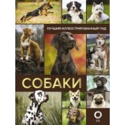 Вайткене, Филиппова, Барановская: Собаки. Лучший иллюстрированный гид