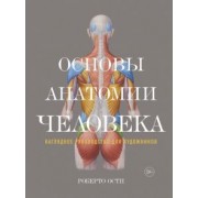 Роберто Ости: Основы анатомии человека. Наглядное руководство для художников