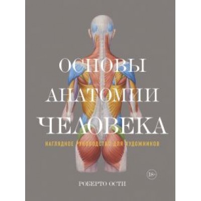 Роберто Ости: Основы анатомии человека. Наглядное руководство для художников Роберто Ости: Основы анатомии человека. Наглядное руководство для художников