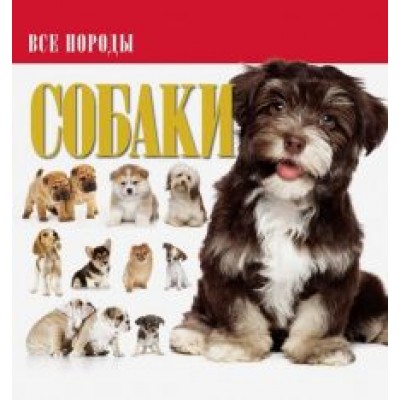 Собаки Собаки