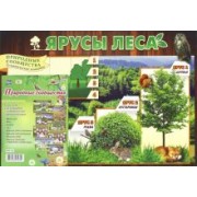 Комплект плакатов - 8 шт с методическим сопровождением. Природные сообщества. ФГОС