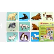 Комплект плакатов Животные разных широт. ФГОС