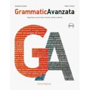Troncarelli, La: GrammaticAvanzata. Libro B2+/C2