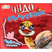 Ирина Солнышко: Чудо-страусёнок