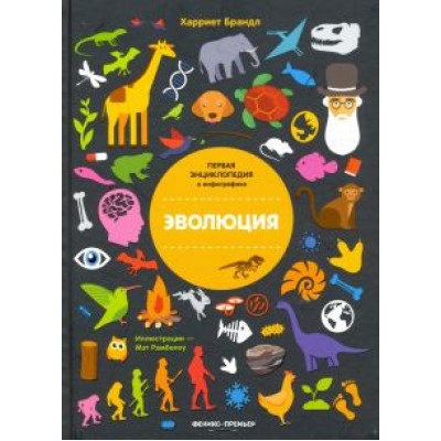 Харриет Брандл: Эволюция. Инфографика Харриет Брандл: Эволюция. Инфографика