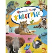 Кристин Балле: Яркий мир животных