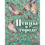 Наталья Габеева: Птицы в городе