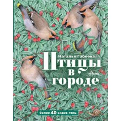 Наталья Габеева: Птицы в городе Наталья Габеева: Птицы в городе
