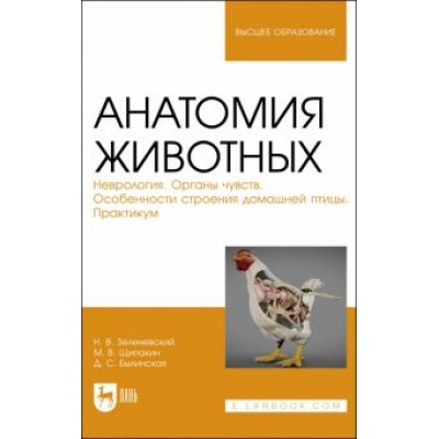 Зеленевский, Щипакин, Былинская: Анатомия животных. Неврология. Особенности строения домашней птицы. Практикум Зеленевский, Щипакин, Былинская: Анатомия животных. Неврология. Особенности строения домашней птицы. Практикум