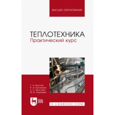 Круглов, Булгакова, Круглова: Теплотехника. Практический курс. Учебное пособие Круглов, Булгакова, Круглова: Теплотехника. Практический курс. Учебное пособие