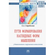 Елена Стребелева: Пути формирования наглядных форм мышления у дошкольников с нарушением интеллекта