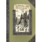 Владимир Чивилихин: Над уровнем моря. Пестрый камень