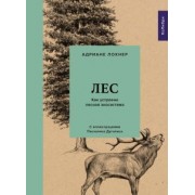 Адриане Лохнер: Лес. Как устроена лесная экосистема