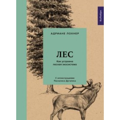 Адриане Лохнер: Лес. Как устроена лесная экосистема Адриане Лохнер: Лес. Как устроена лесная экосистема