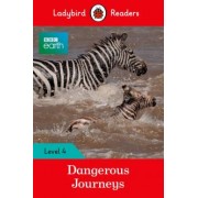 BBC Earth. Dangerous Journeys. Level 4