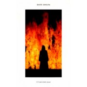 Арья, Джезуа, Перов: Билл Виола. Путешествие души. Каталог выставки