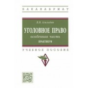 Владимир Агильдин: Уголовное право. Особенная часть. Практикум