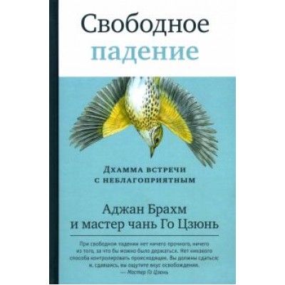Аджан, Мастер: Свободное падение. Дхамма встречи с неблагоприятным Аджан, Мастер: Свободное падение. Дхамма встречи с неблагоприятным