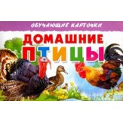 Карточки. Домашние птицы