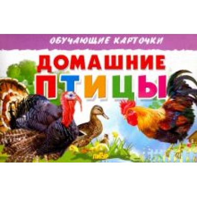 Карточки. Домашние птицы Карточки. Домашние птицы