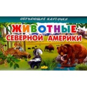 Карточки. Животные Северной Америки