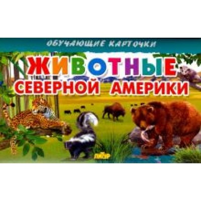 Карточки. Животные Северной Америки Карточки. Животные Северной Америки