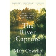 Mary Costello: The River Capture