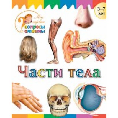 А. Орехов: Части тела А. Орехов: Части тела