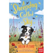 Helen Peters: A Sheepdog Called Sky