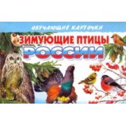 Карточки Зимующие птицы России