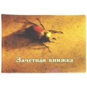 Обложка для зачетки "Жук" (042002обл290005)