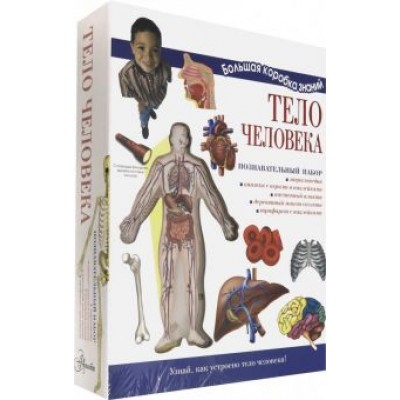 Мария Торчинская: Тело человека. Познавательный набор Мария Торчинская: Тело человека. Познавательный набор