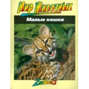 Джон Веско: Малые кошки