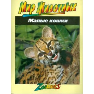 Джон Веско: Малые кошки Джон Веско: Малые кошки