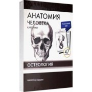 Сапин, Николенко, Тимофеева: Анатомия человека. Остеология (47 карточек)