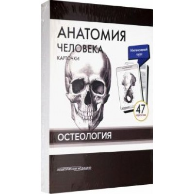 Сапин, Николенко, Тимофеева: Анатомия человека. Остеология (47 карточек) Сапин, Николенко, Тимофеева: Анатомия человека. Остеология (47 карточек)