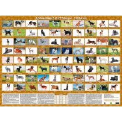 Домашние питомцы. Собаки. Настольное издание Домашние питомцы. Собаки. Настольное издание