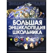 Анна Спектор: Большая энциклопедия школьника
