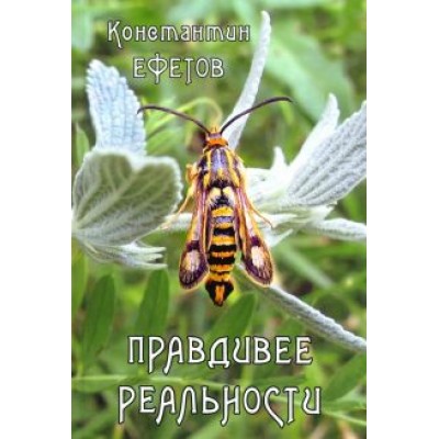 Константин Ефетов: Правдивее реальности Константин Ефетов: Правдивее реальности